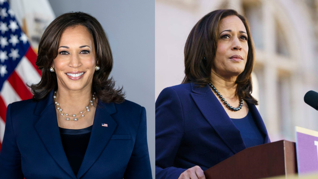 Kamala Harris delivering a powerful concession speech, urging supporters to stay hopeful and politically engaged after the 2024 election.