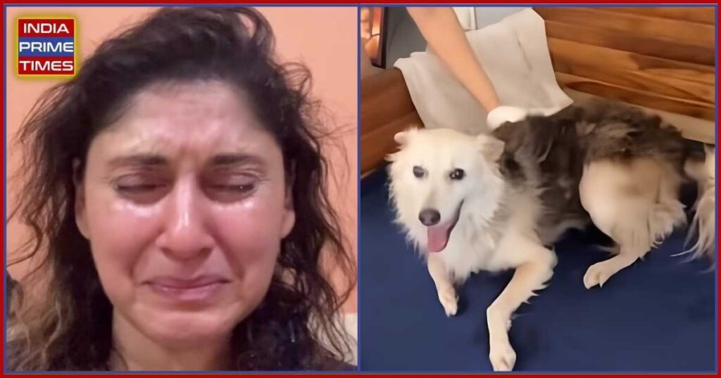 Actor Manjari Fadnnis Breaks Down Over Society Dog's Horrific Killing, Demands Stricter Animal Cruelty Laws