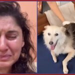 Actor Manjari Fadnnis Breaks Down Over Society Dog's Horrific Killing, Demands Stricter Animal Cruelty Laws
