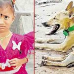 Mystery Deepens in Andhra Pradesh: Tragic Death of Pet Dog Hampers Massive Search for Missing 2-Year-Old Girl in Tuni