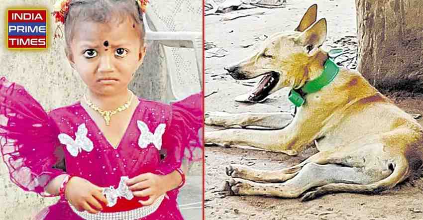Mystery Deepens in Andhra Pradesh: Tragic Death of Pet Dog Hampers Massive Search for Missing 2-Year-Old Girl in Tuni